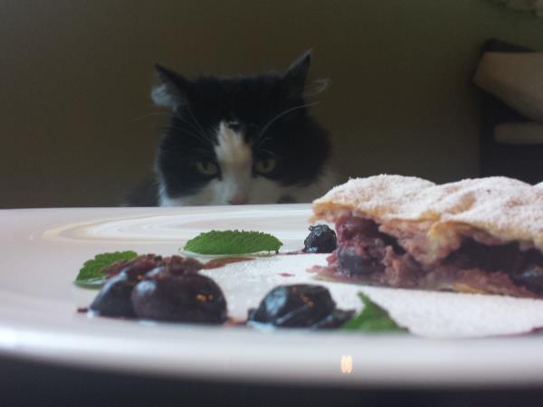 Češnjev zavitek s kokosovim sladkorjem in omako iz ingverja